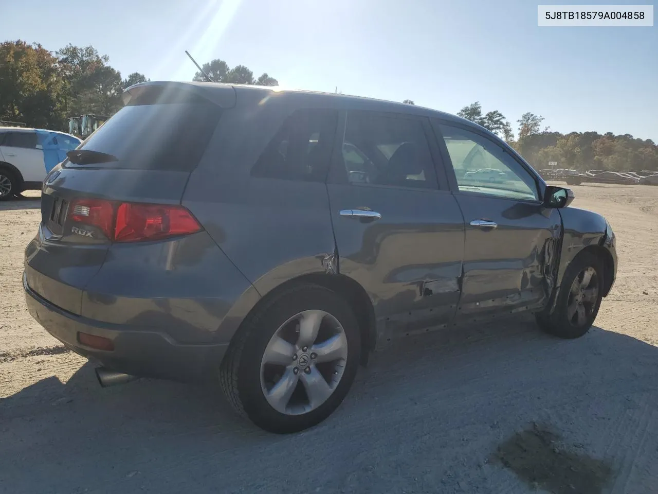 2009 Acura Rdx Technology VIN: 5J8TB18579A004858 Lot: 76880084