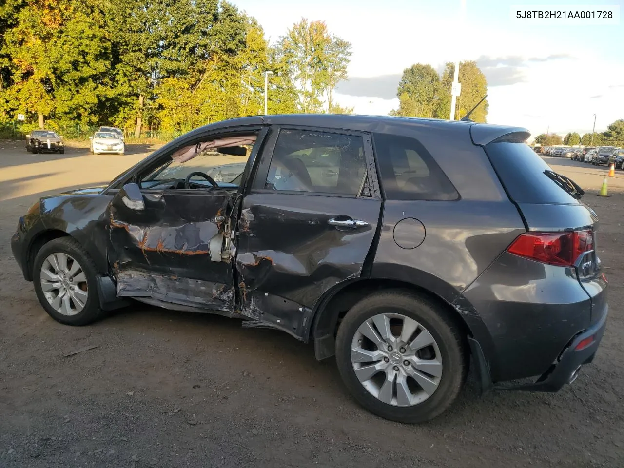 2010 Acura Rdx VIN: 5J8TB2H21AA001728 Lot: 74536104