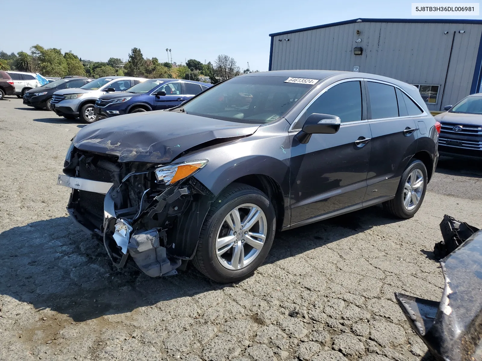 2013 Acura Rdx VIN: 5J8TB3H36DL006981 Lot: 64613524