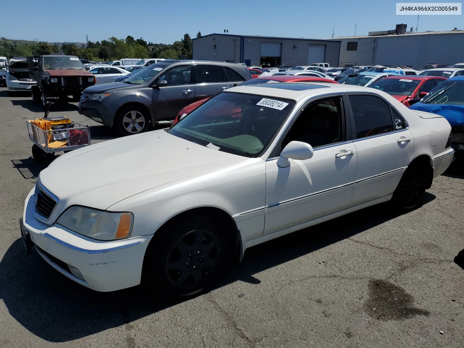 2002 Acura 3.5Rl VIN: JH4KA966X2C005549 Lot: 55038214