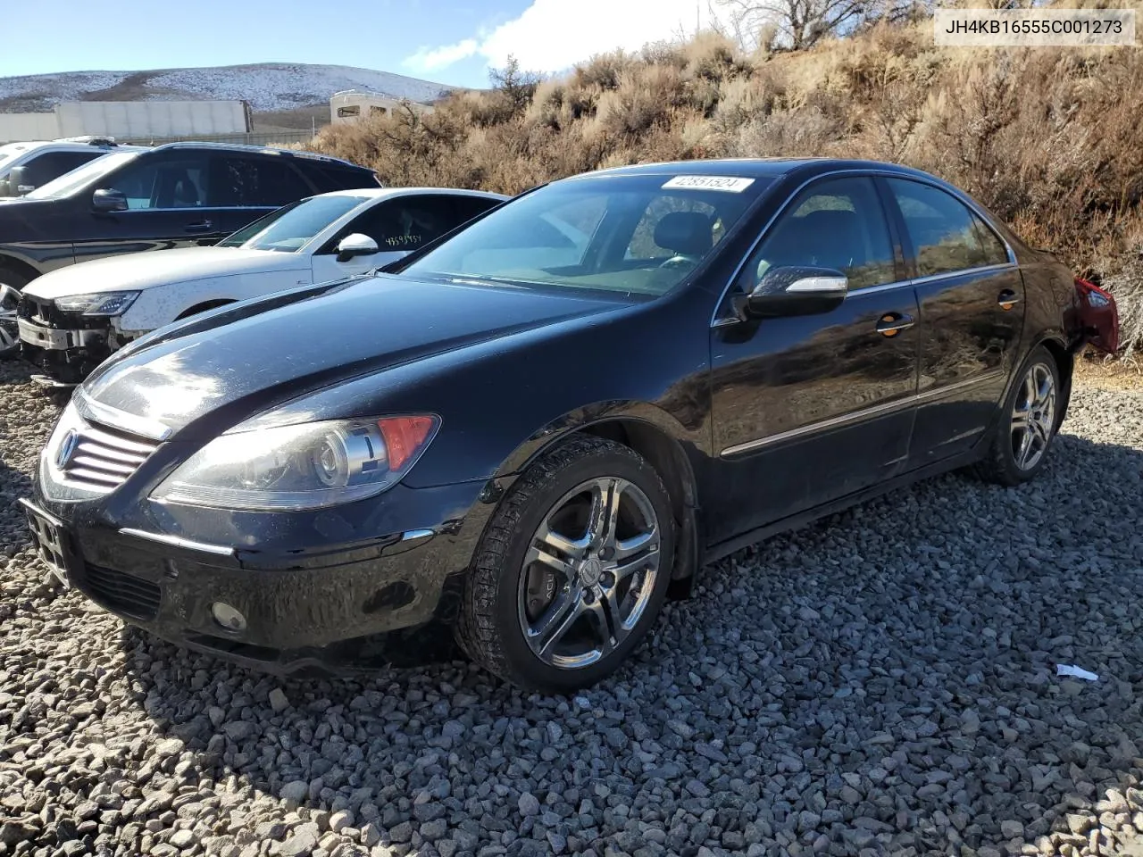 2005 Acura Rl VIN: JH4KB16555C001273 Lot: 42851524