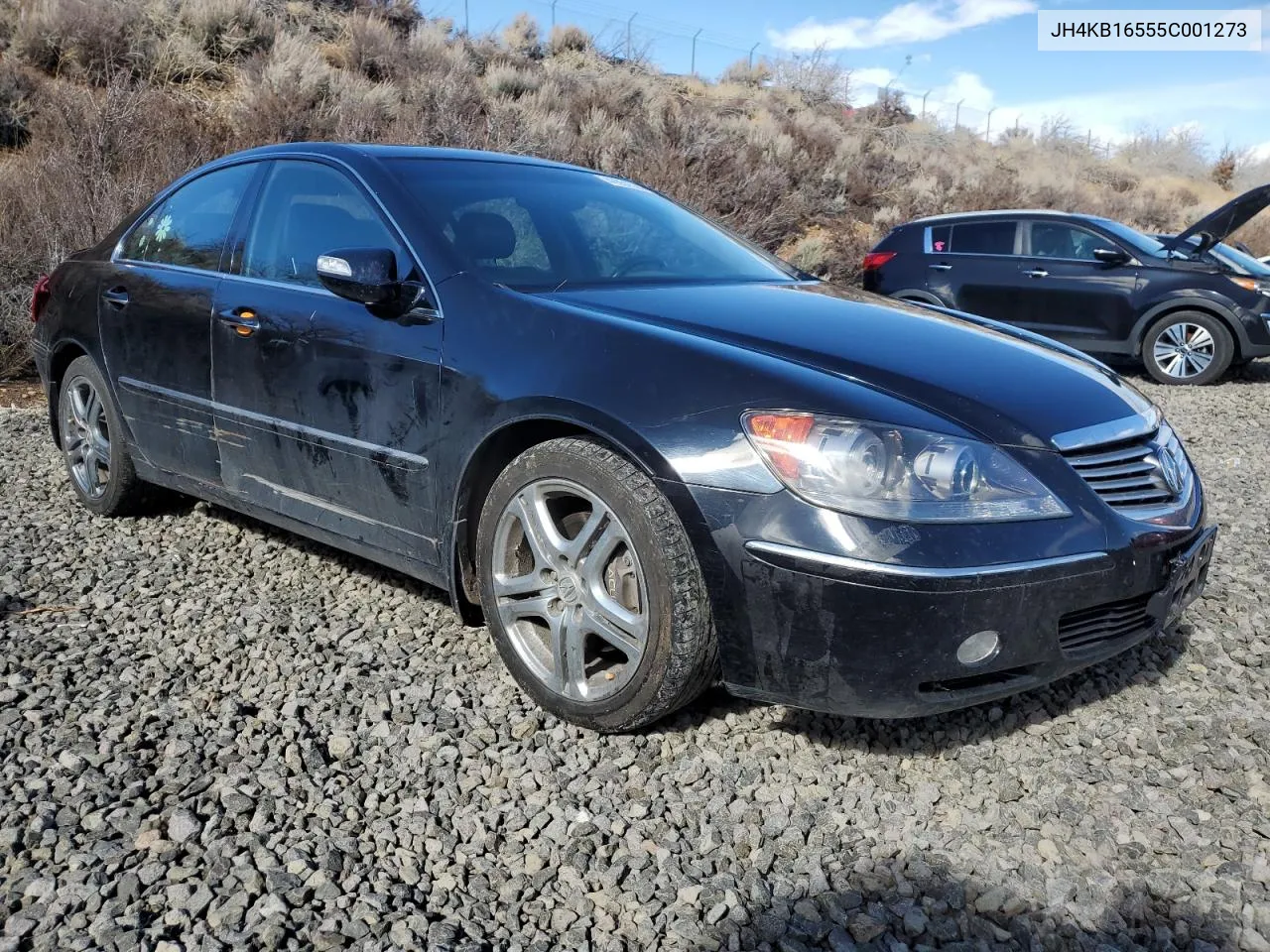 2005 Acura Rl VIN: JH4KB16555C001273 Lot: 42851524