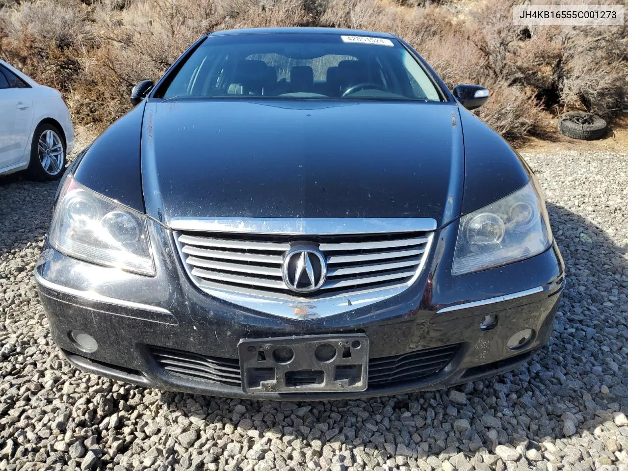 2005 Acura Rl VIN: JH4KB16555C001273 Lot: 42851524