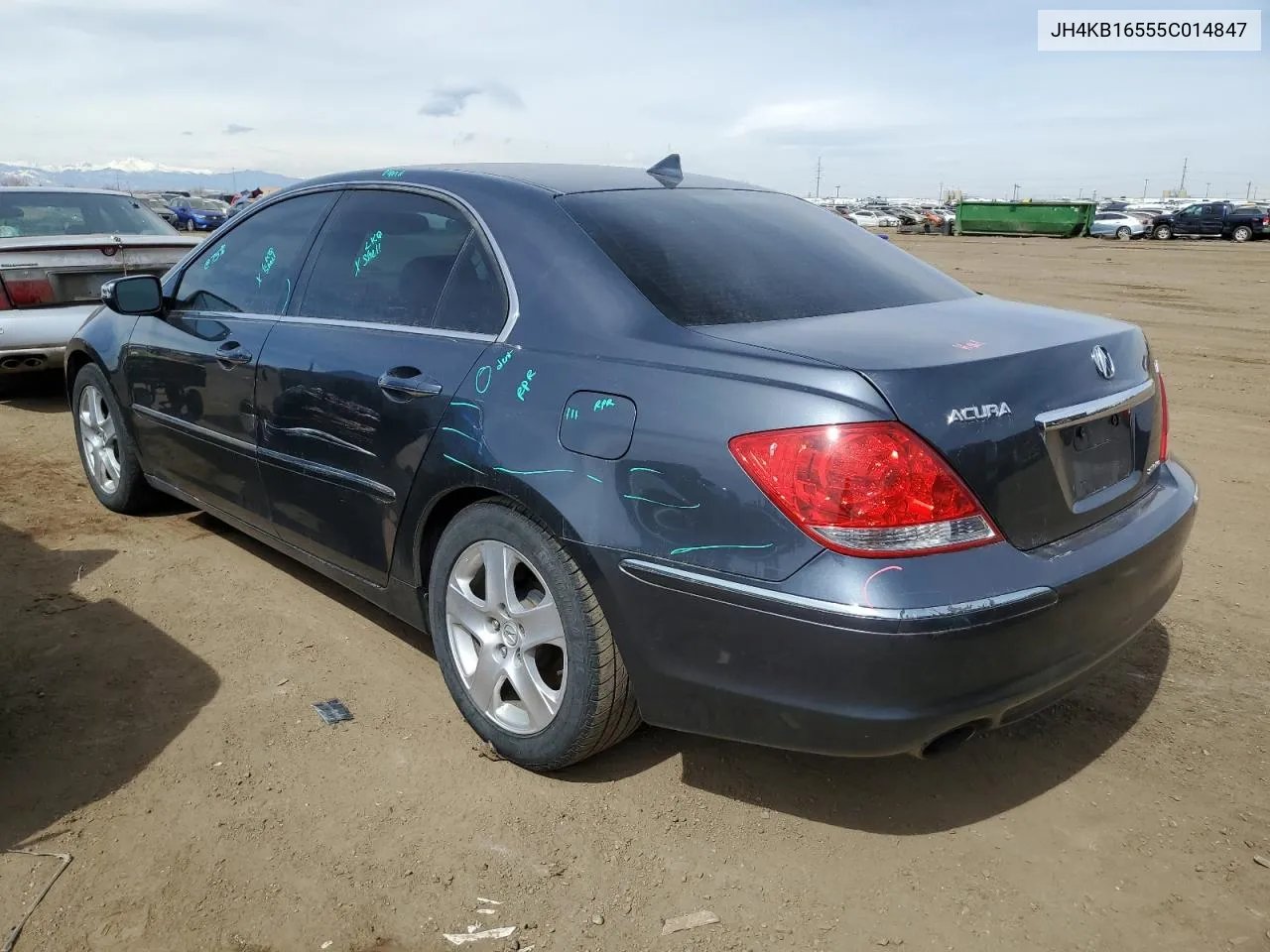 2005 Acura Rl VIN: JH4KB16555C014847 Lot: 48487534