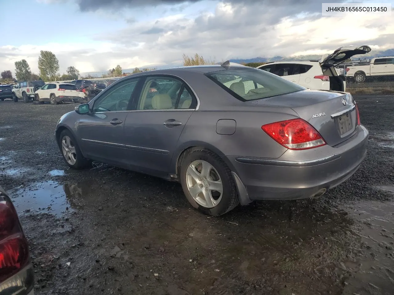 2005 Acura Rl VIN: JH4KB16565C013450 Lot: 73752534