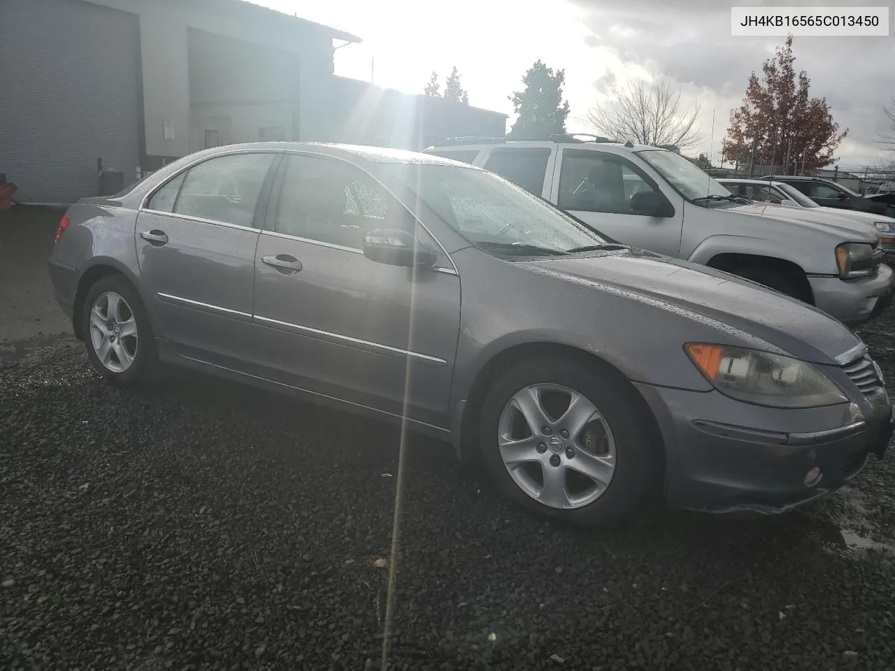 2005 Acura Rl VIN: JH4KB16565C013450 Lot: 73752534