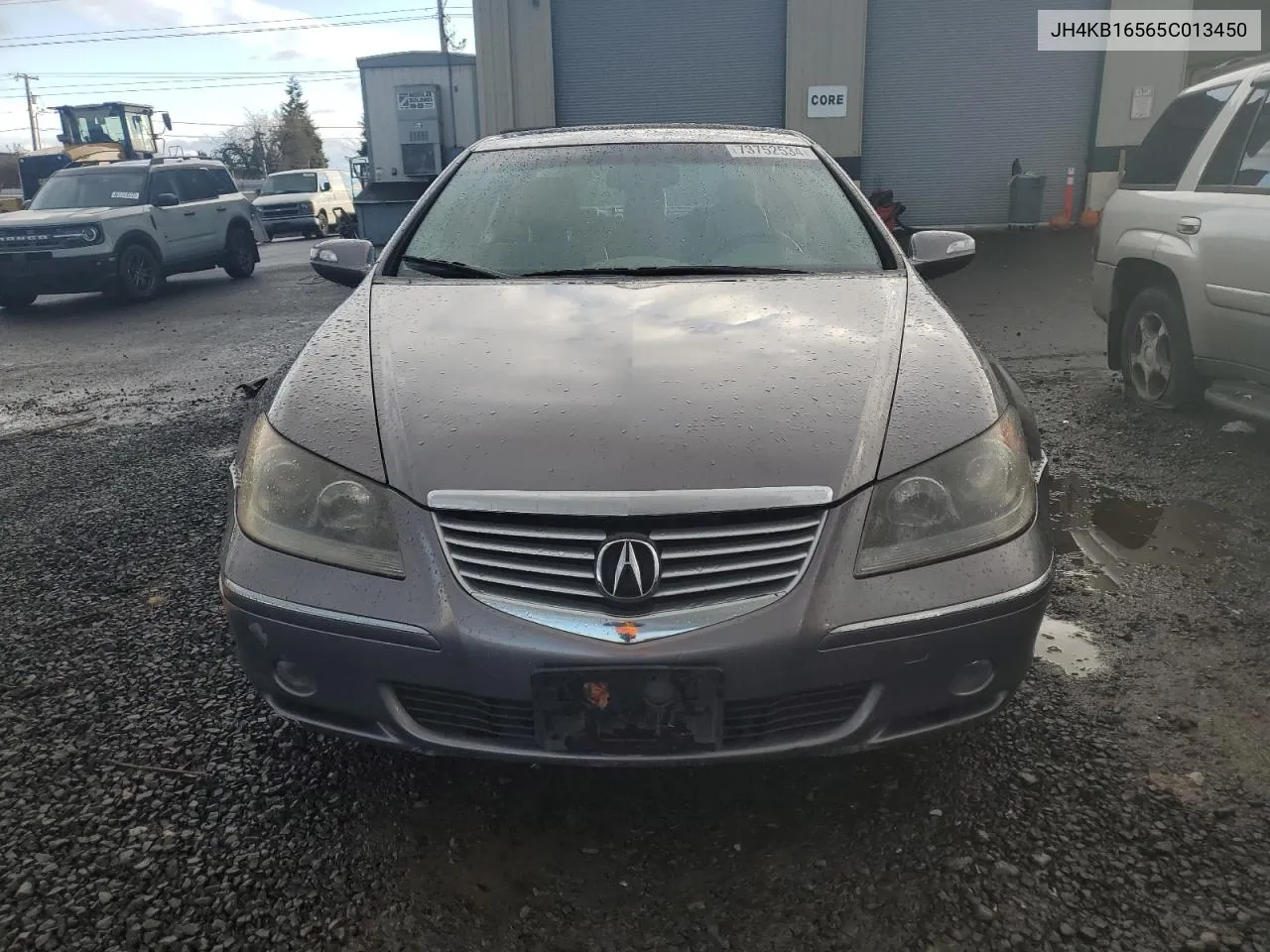 2005 Acura Rl VIN: JH4KB16565C013450 Lot: 73752534