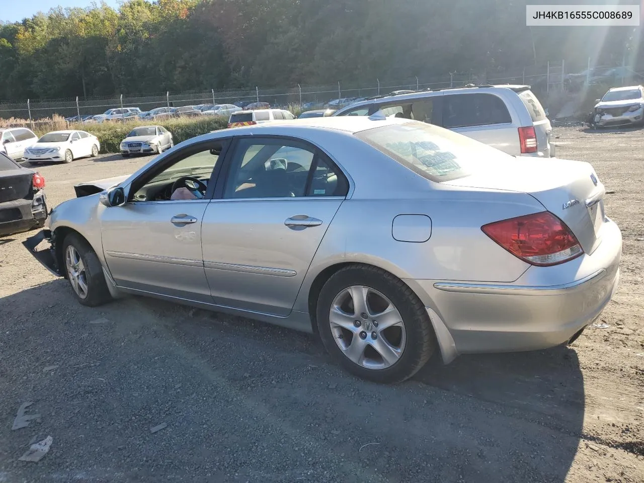 2005 Acura Rl VIN: JH4KB16555C008689 Lot: 76705234