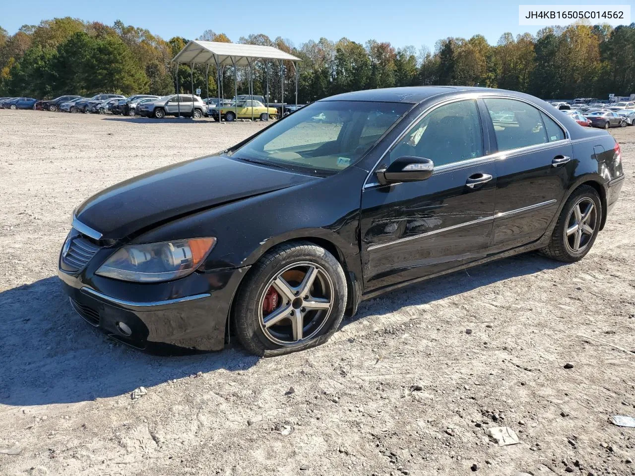 2005 Acura Rl VIN: JH4KB16505C014562 Lot: 76928914