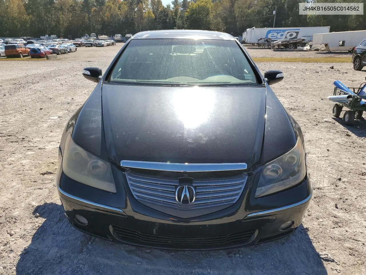 2005 Acura Rl VIN: JH4KB16505C014562 Lot: 76928914