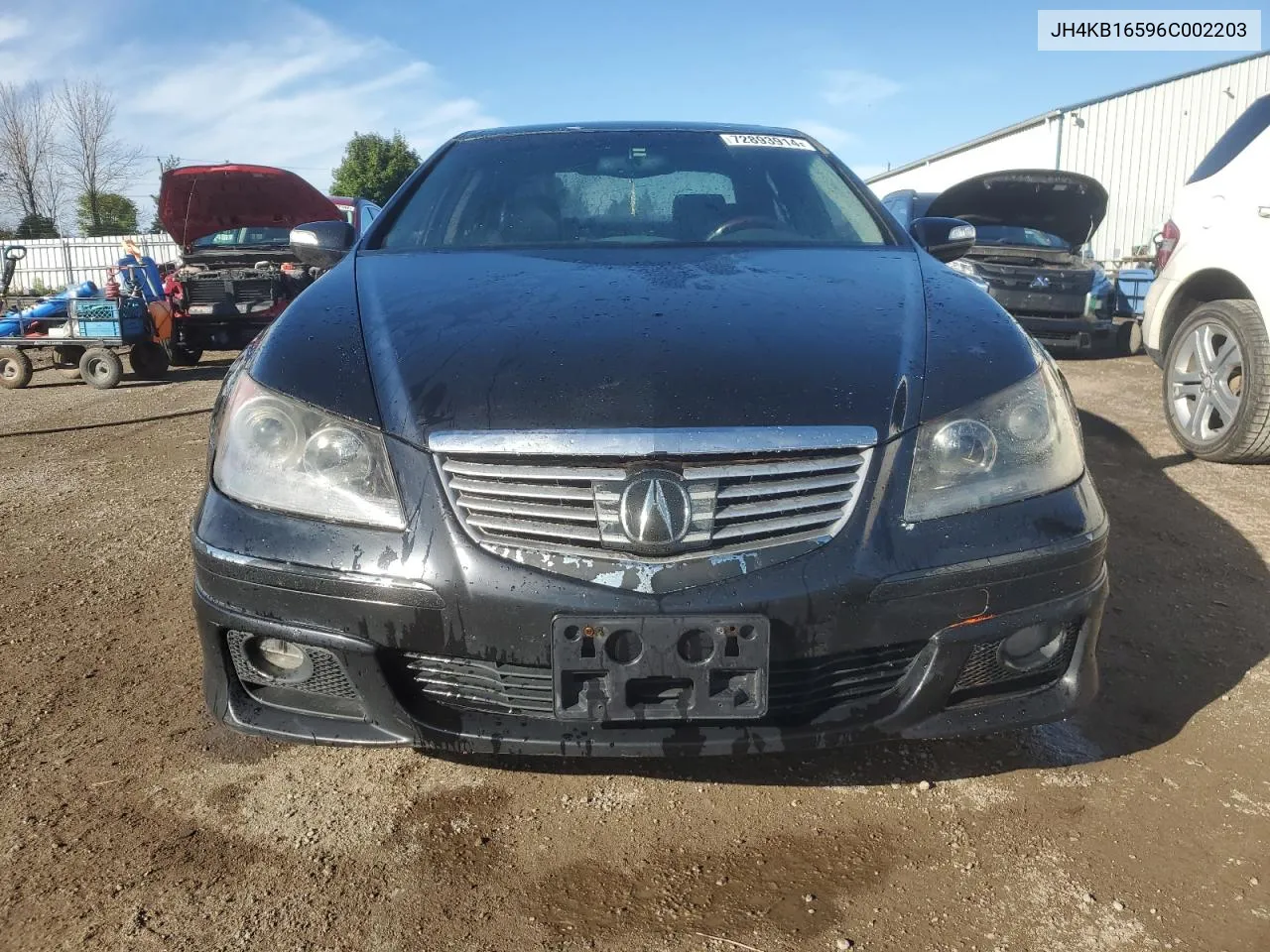 2006 Acura Rl VIN: JH4KB16596C002203 Lot: 72893914