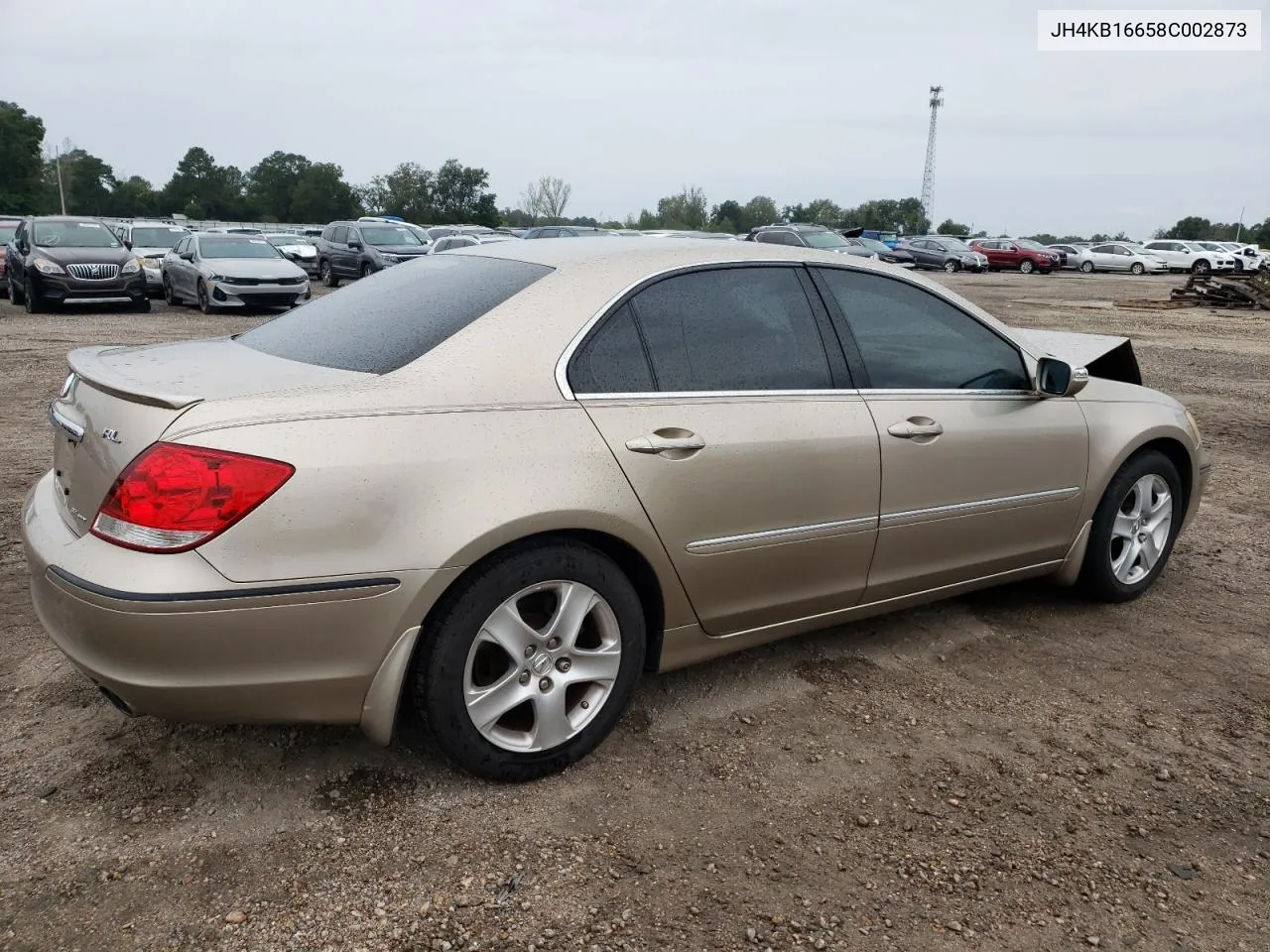 2008 Acura Rl VIN: JH4KB16658C002873 Lot: 74638304