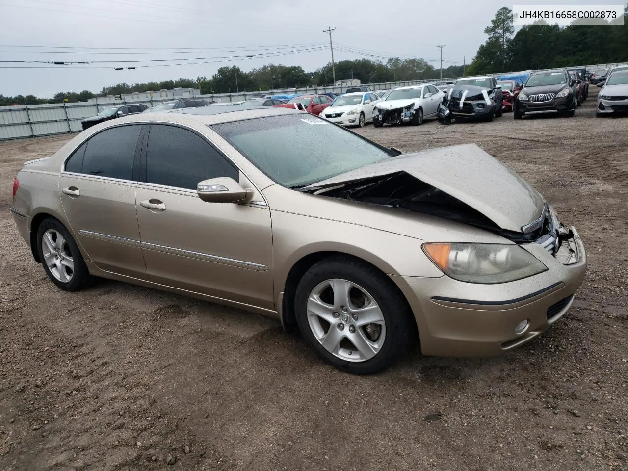 2008 Acura Rl VIN: JH4KB16658C002873 Lot: 74638304