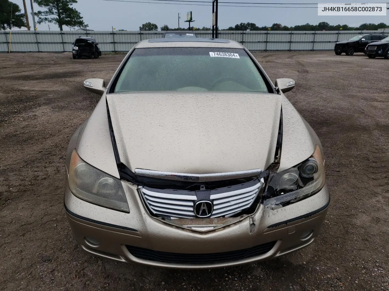 2008 Acura Rl VIN: JH4KB16658C002873 Lot: 74638304