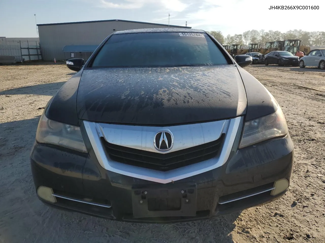 2009 Acura Rl VIN: JH4KB266X9C001600 Lot: 55125784