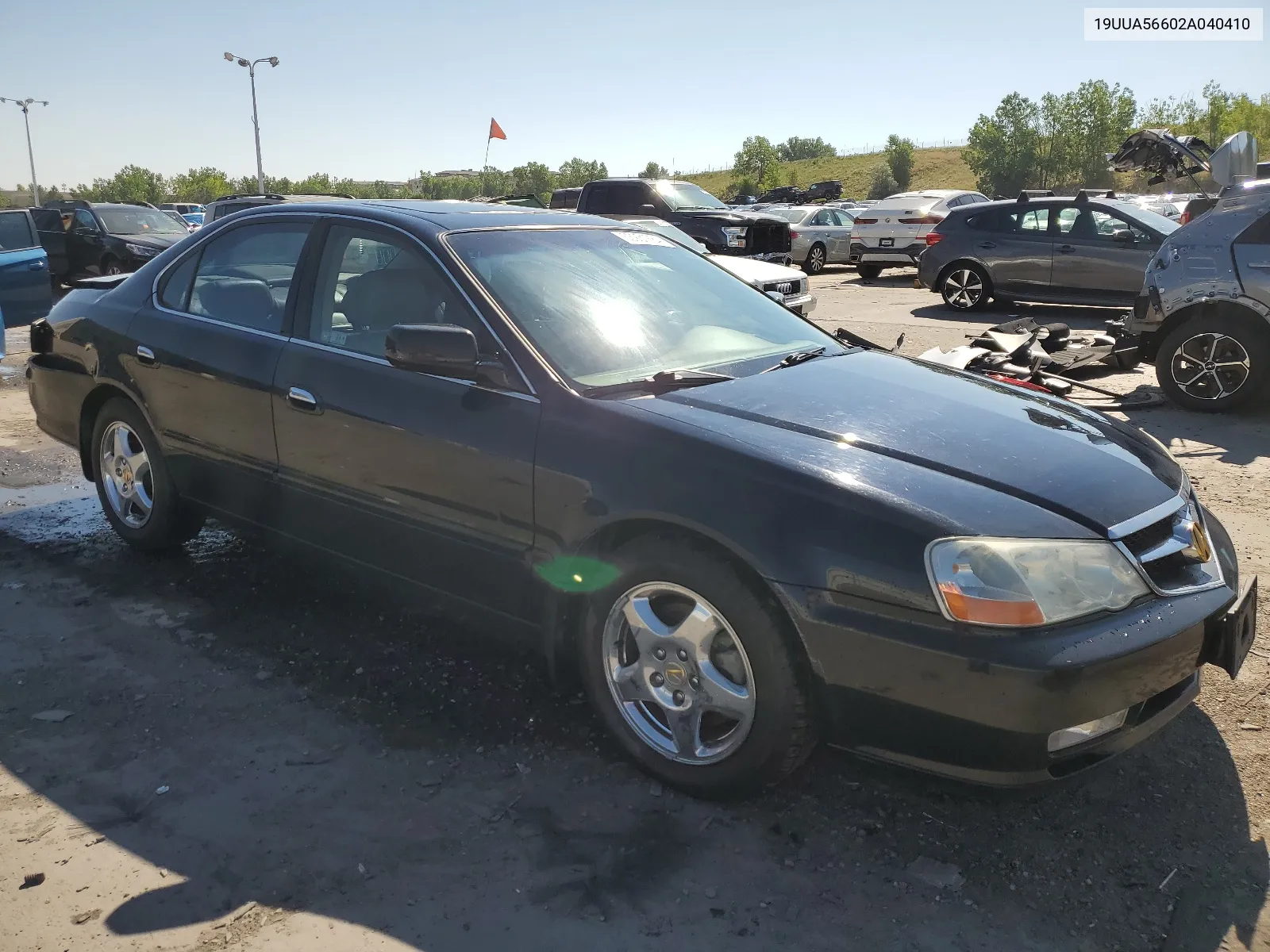 2002 Acura 3.2Tl VIN: 19UUA56602A040410 Lot: 63931884