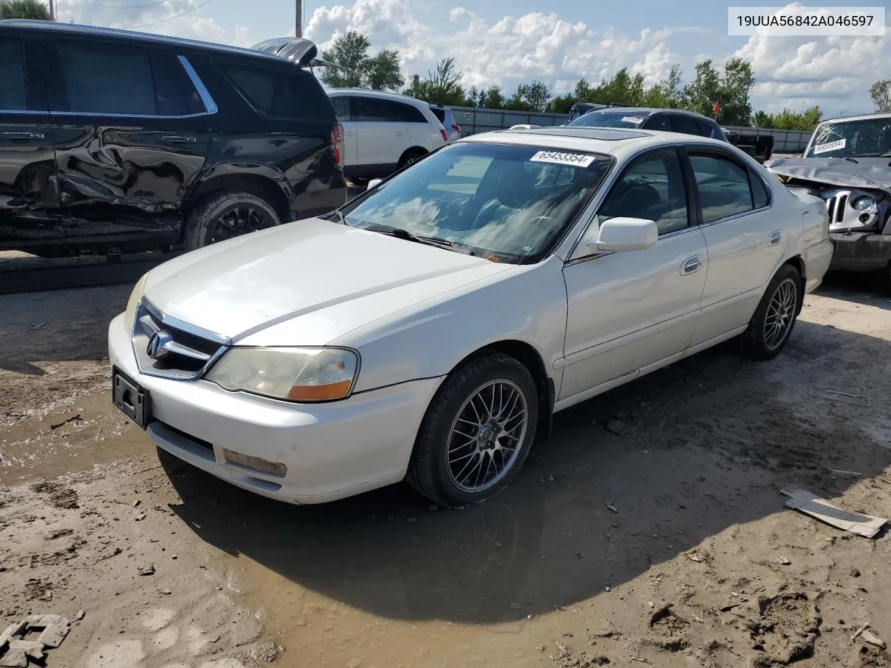 2002 Acura 3.2Tl Type-S VIN: 19UUA56842A046597 Lot: 65453354