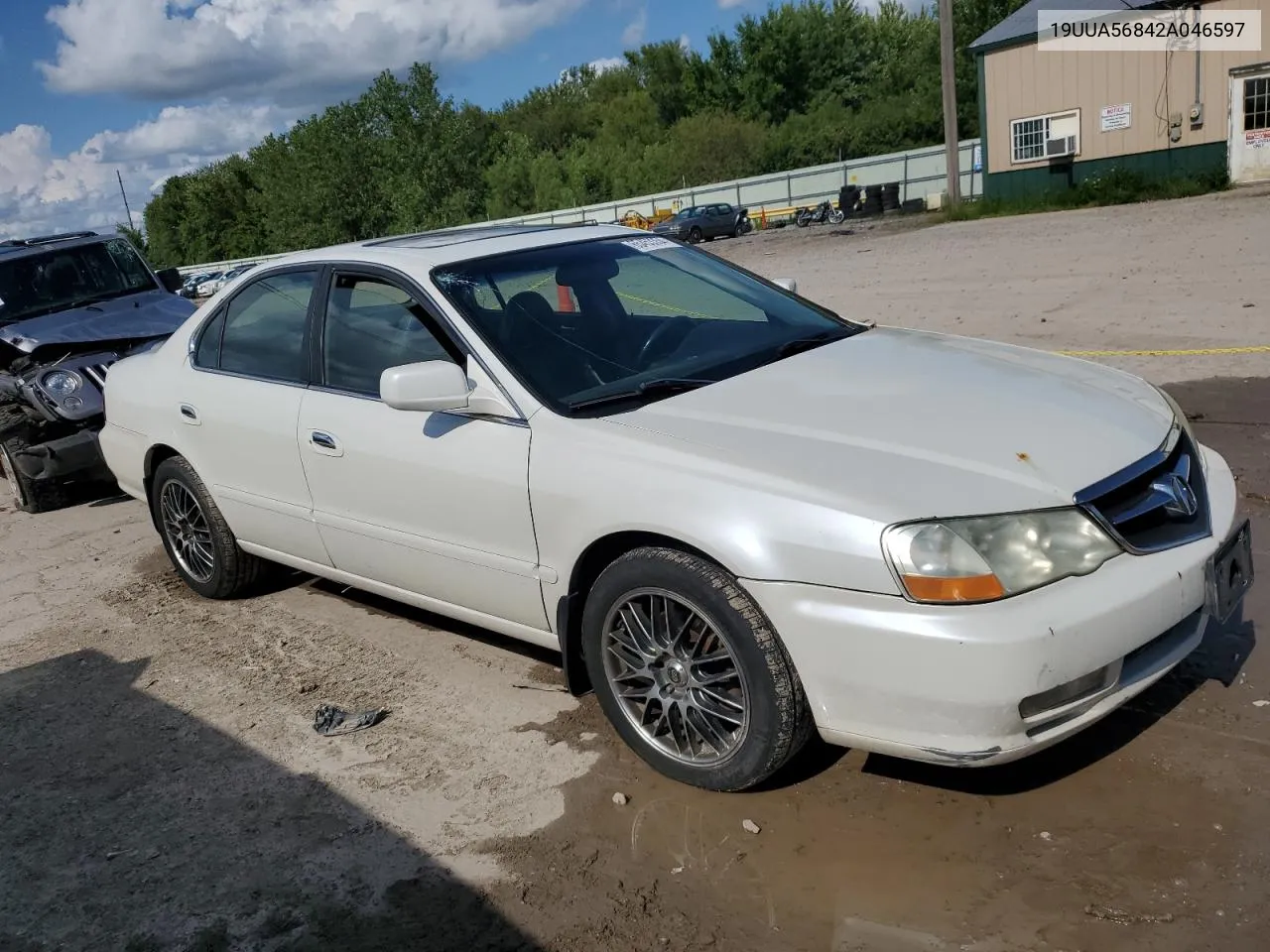 2002 Acura 3.2Tl Type-S VIN: 19UUA56842A046597 Lot: 65453354