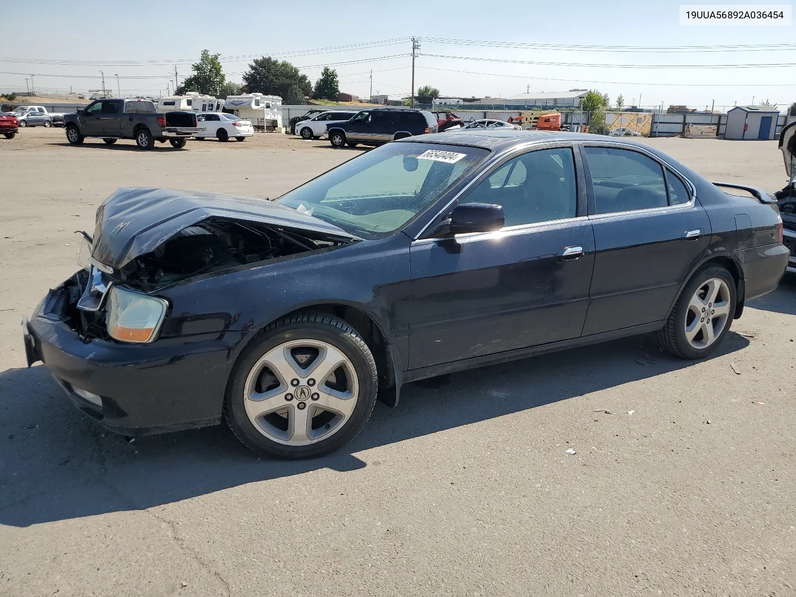 2002 Acura 3.2Tl Type-S VIN: 19UUA56892A036454 Lot: 66540404