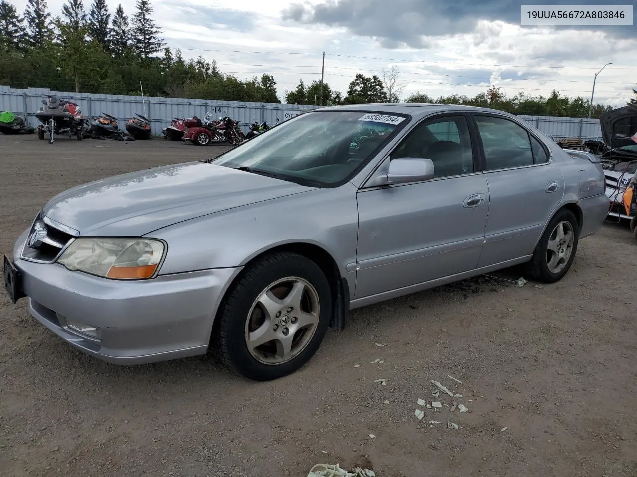 2002 Acura 3.2Tl VIN: 19UUA56672A803846 Lot: 68502784