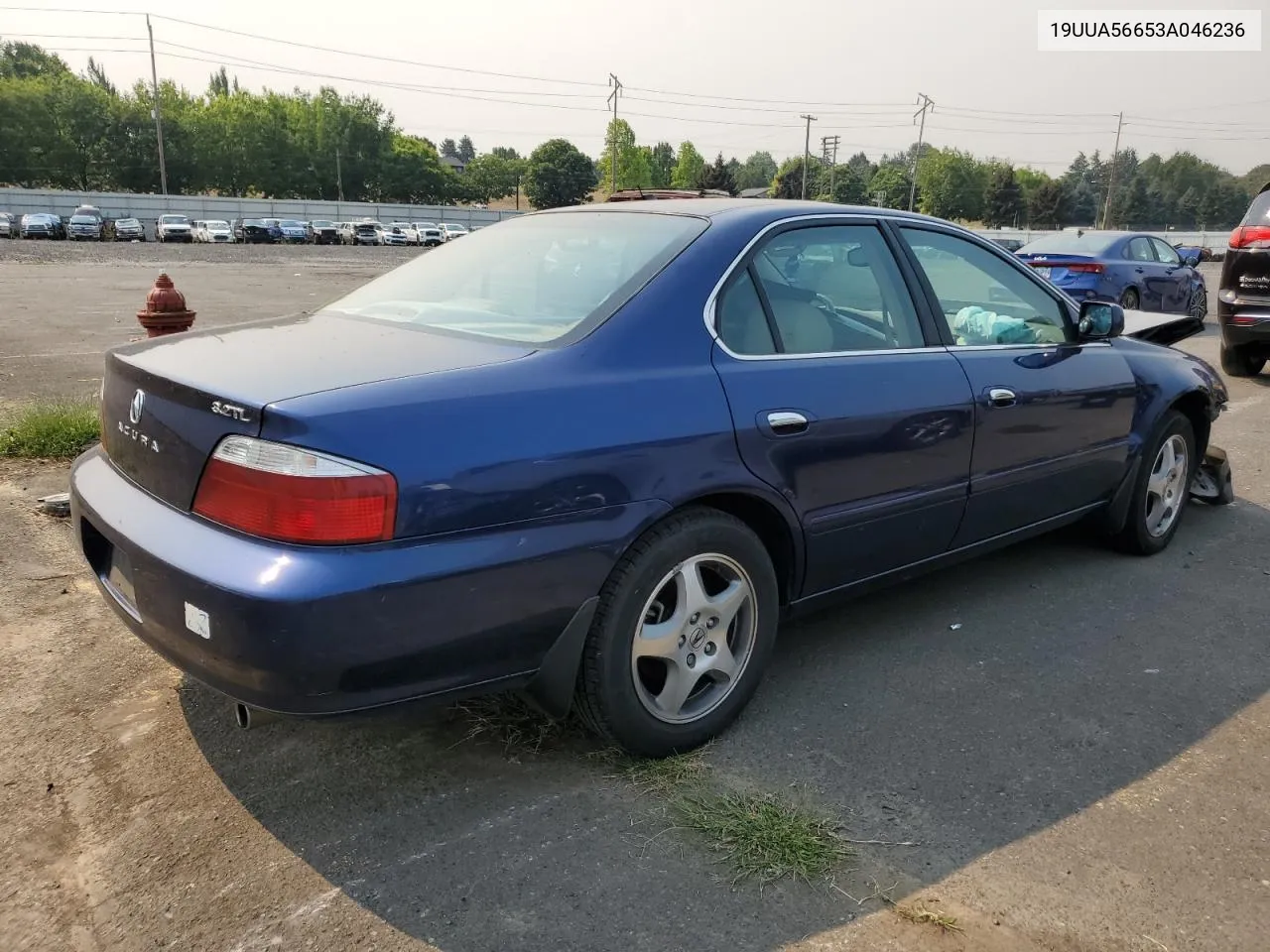 2003 Acura 3.2Tl VIN: 19UUA56653A046236 Lot: 70534934