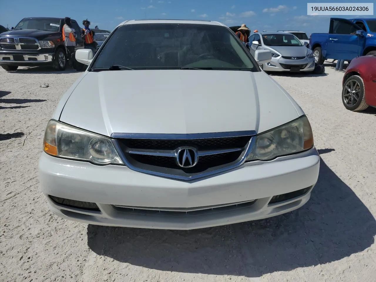 2003 Acura 3.2Tl VIN: 19UUA56603A024306 Lot: 77268744