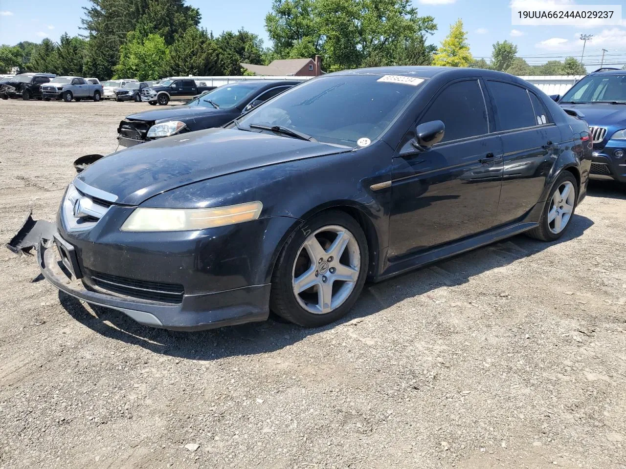 2004 Acura Tl VIN: 19UUA66244A029237 Lot: 60382234