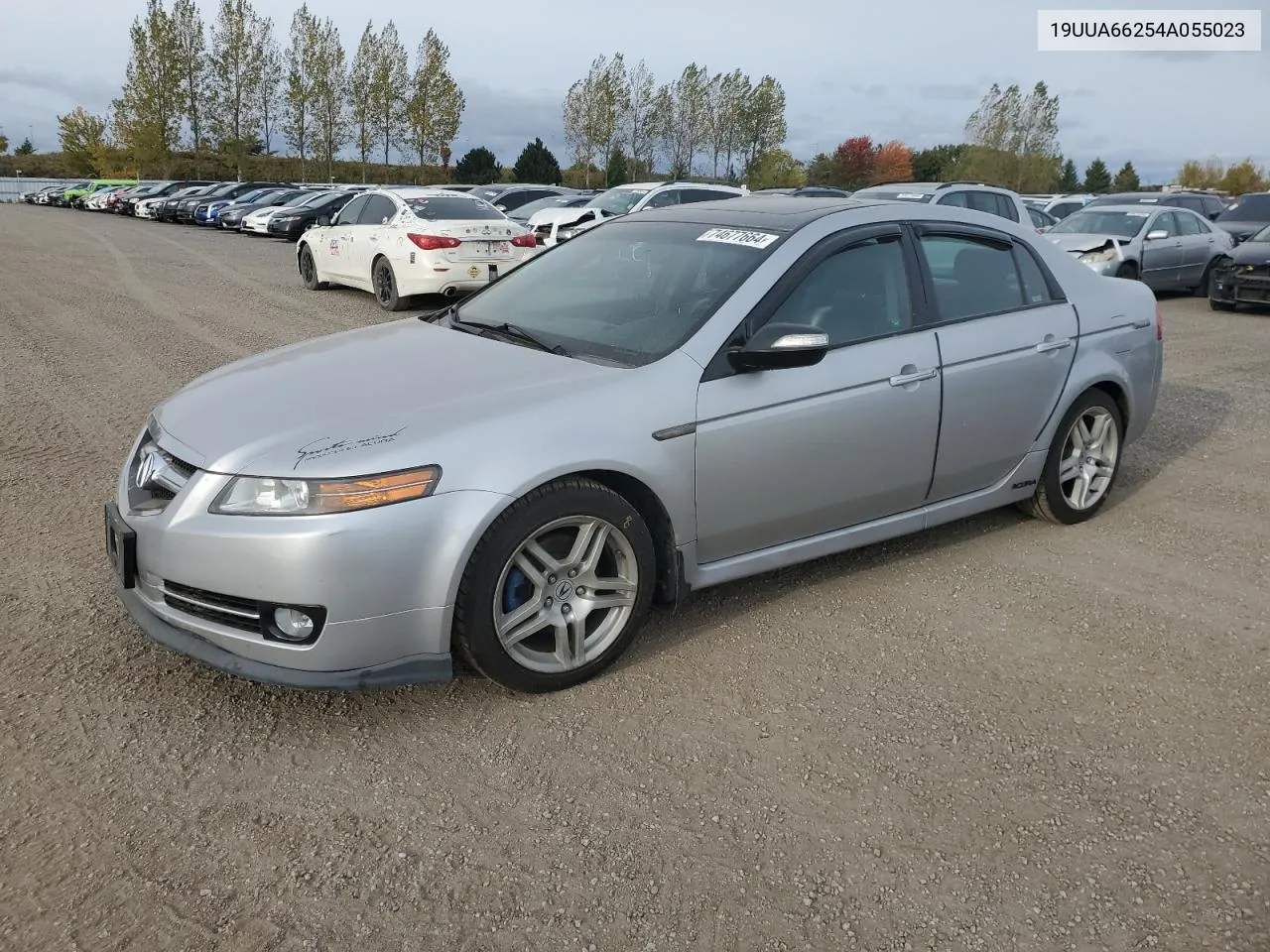 2004 Acura Tl VIN: 19UUA66254A055023 Lot: 74677664