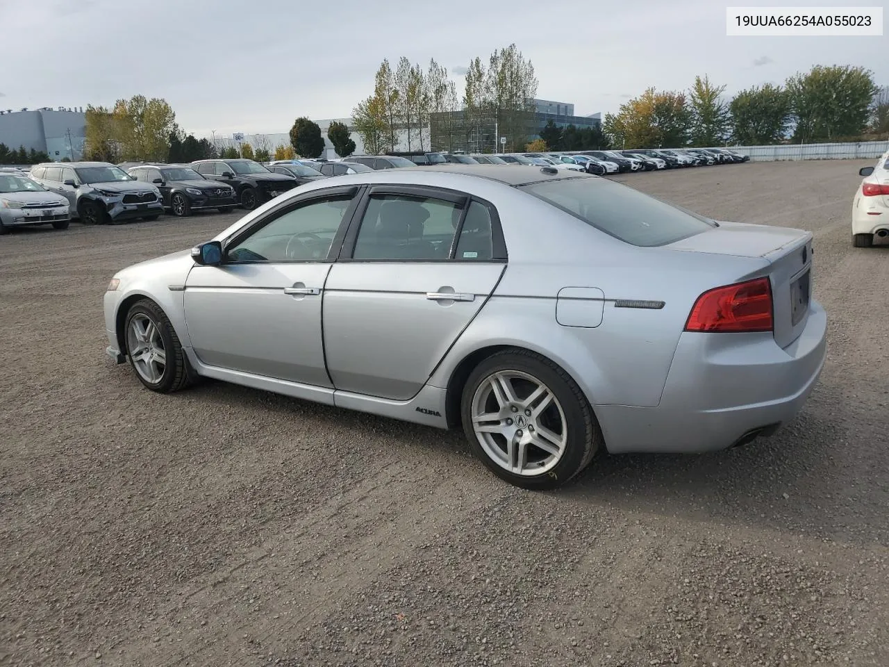 2004 Acura Tl VIN: 19UUA66254A055023 Lot: 74677664