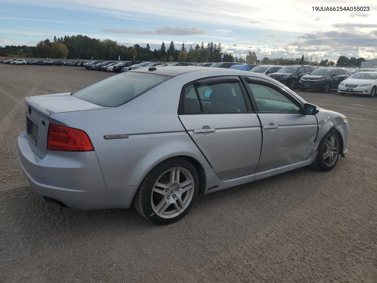 2004 Acura Tl VIN: 19UUA66254A055023 Lot: 74677664