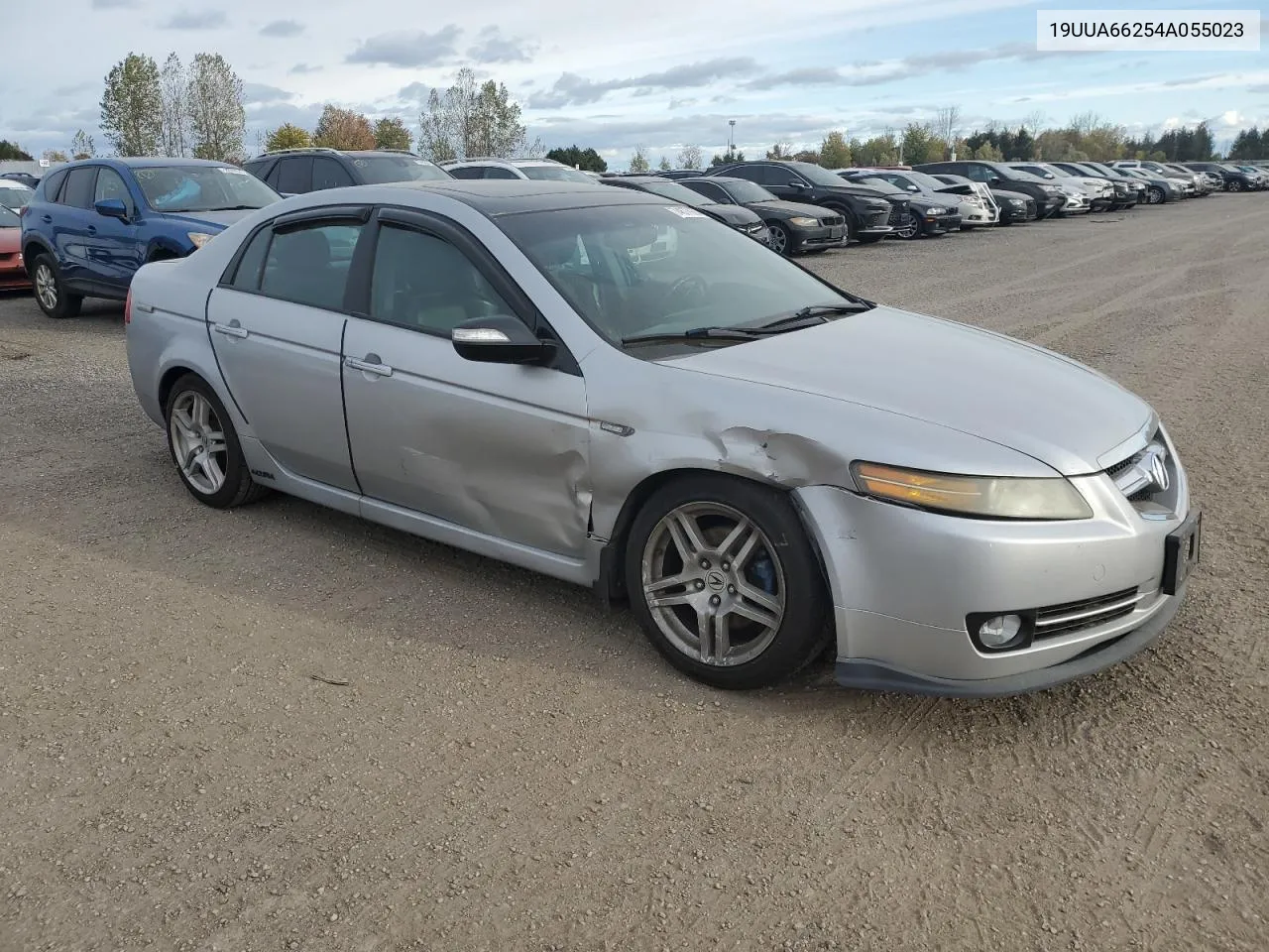 2004 Acura Tl VIN: 19UUA66254A055023 Lot: 74677664