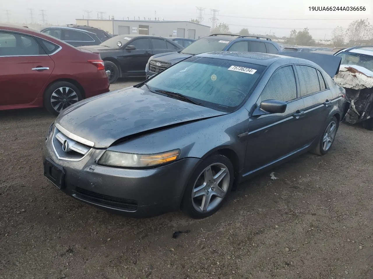 19UUA66244A036656 2004 Acura Tl