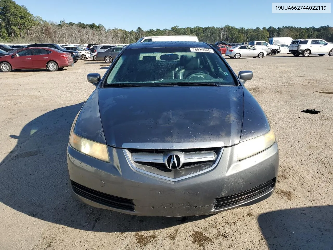 2004 Acura Tl VIN: 19UUA66274A022119 Lot: 76025064