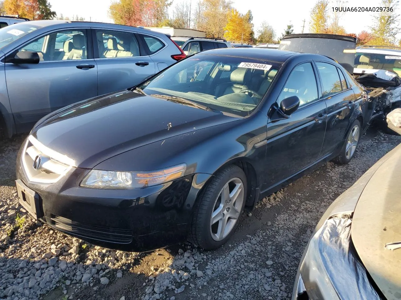 2004 Acura Tl VIN: 19UUA66204A029736 Lot: 79579404