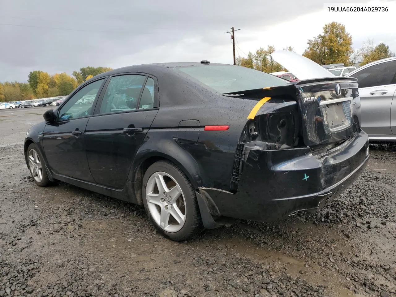 2004 Acura Tl VIN: 19UUA66204A029736 Lot: 79579404