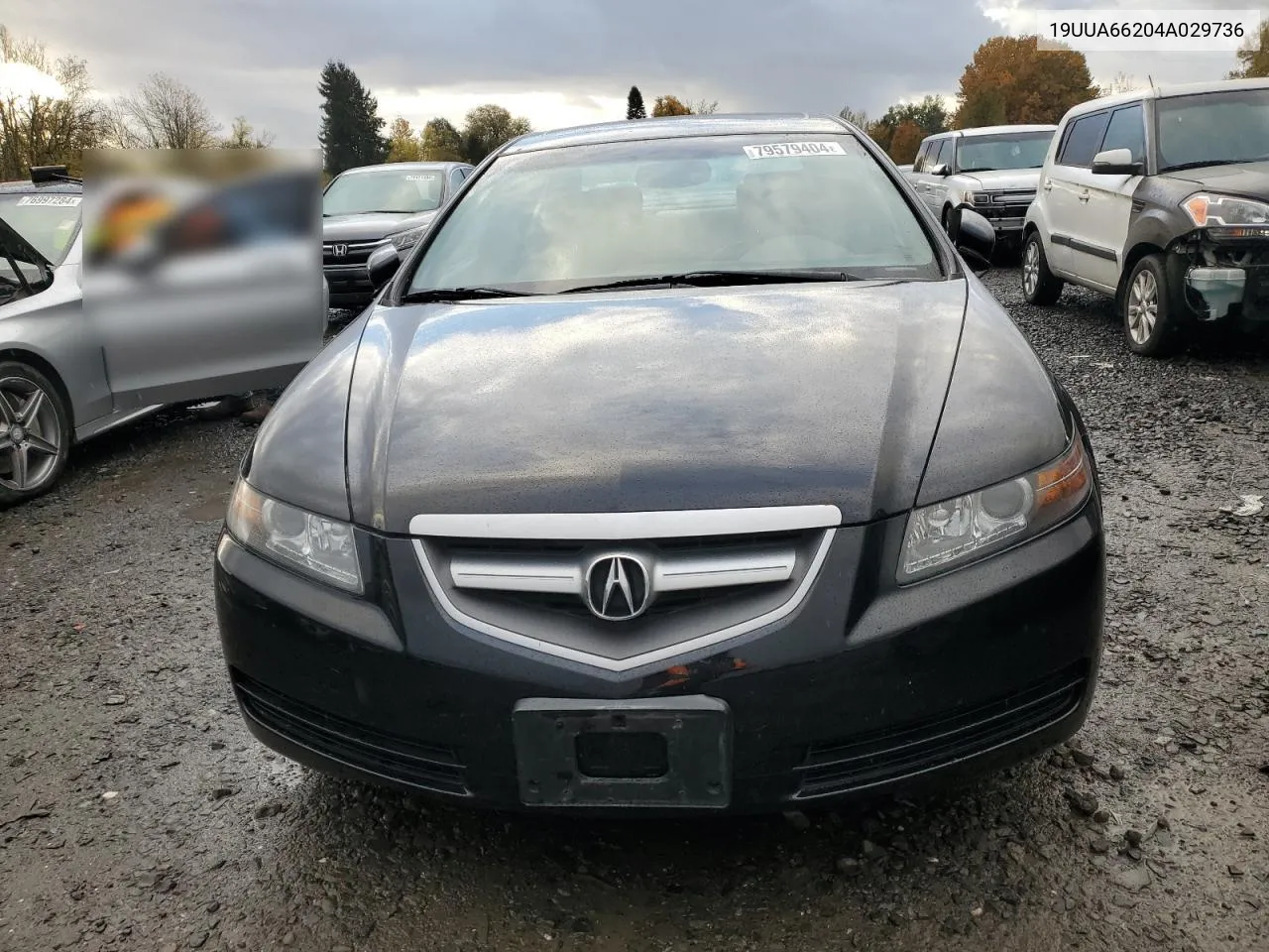 2004 Acura Tl VIN: 19UUA66204A029736 Lot: 79579404