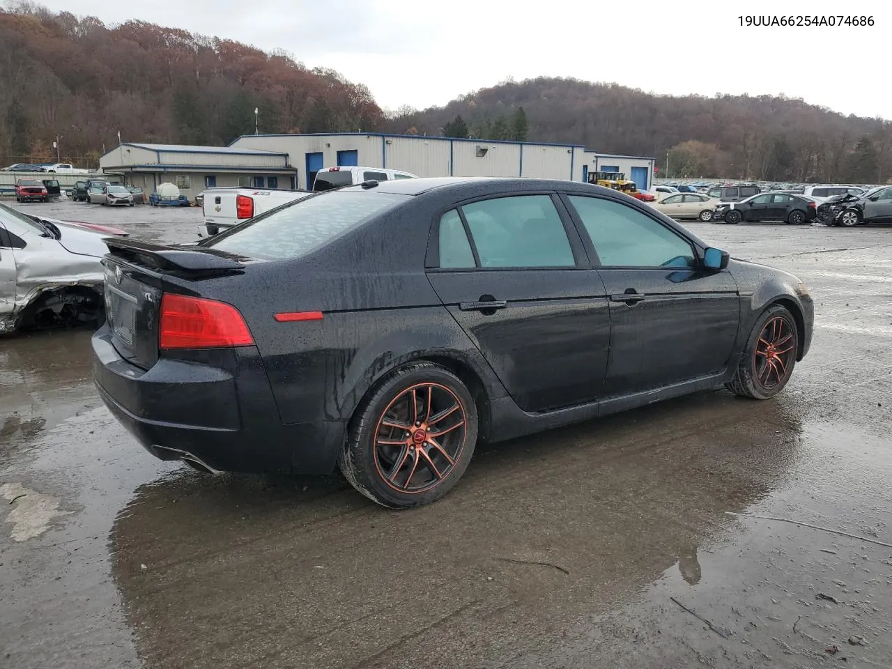 2004 Acura Tl VIN: 19UUA66254A074686 Lot: 79801124