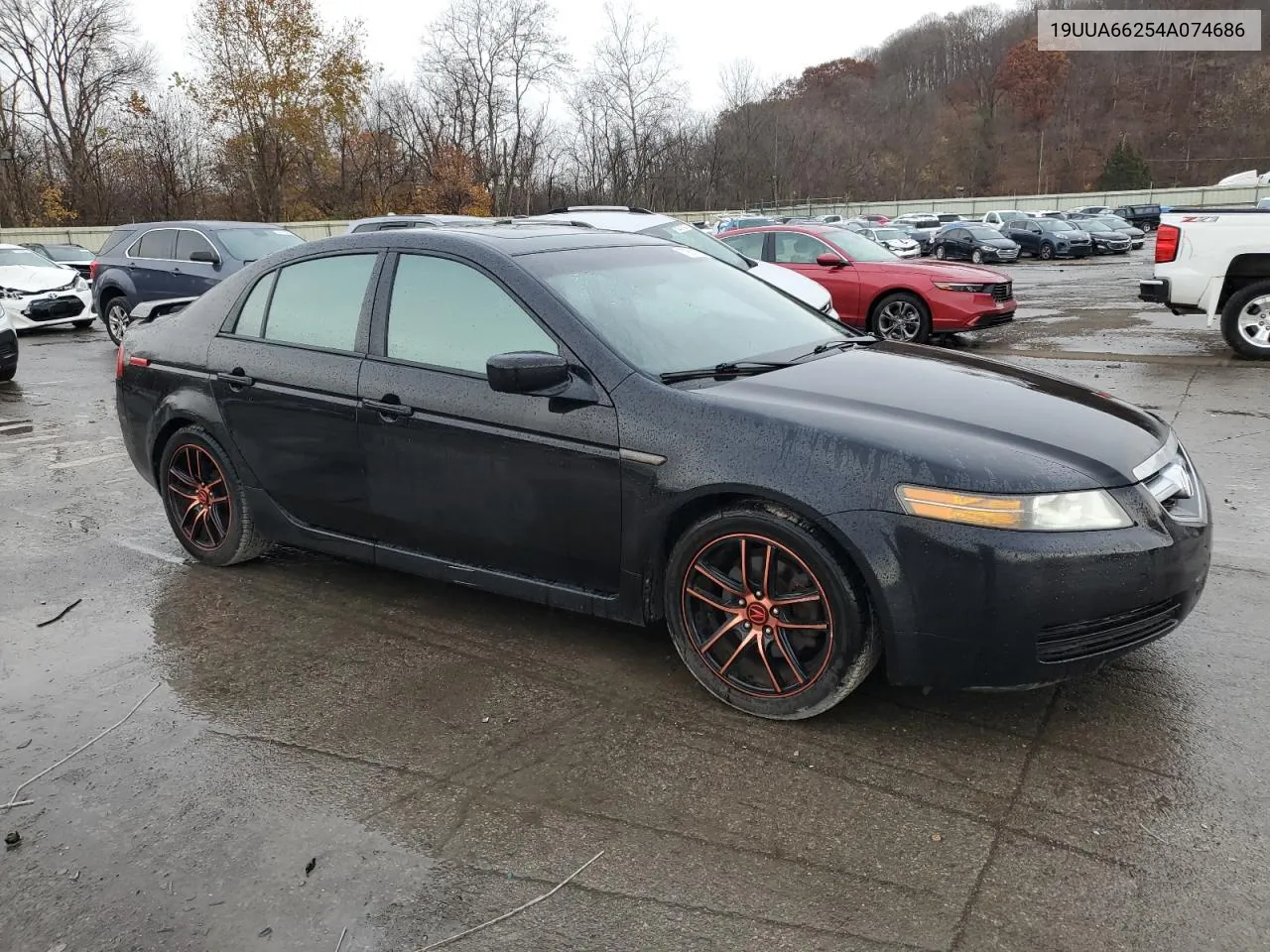 2004 Acura Tl VIN: 19UUA66254A074686 Lot: 79801124