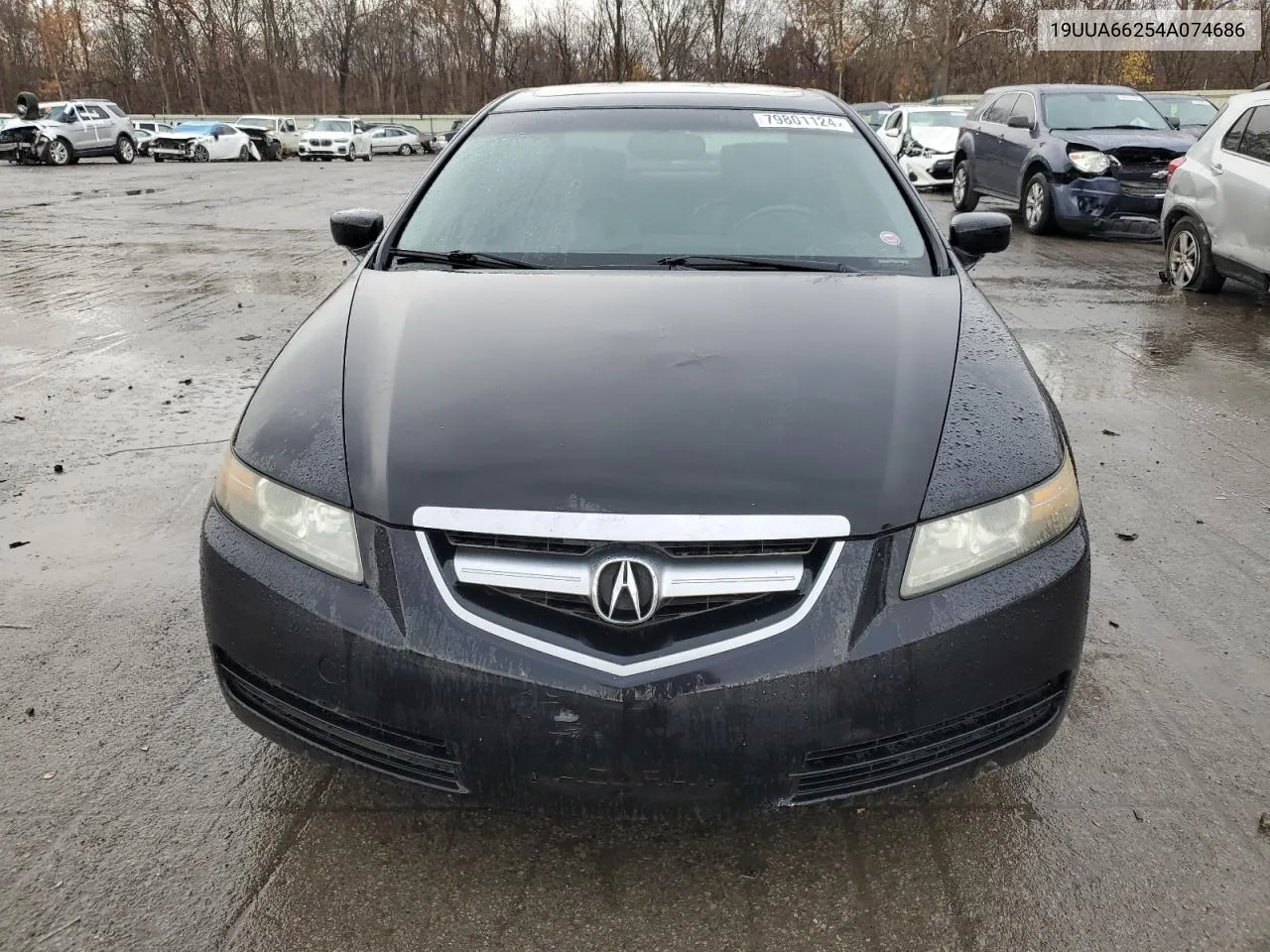 2004 Acura Tl VIN: 19UUA66254A074686 Lot: 79801124