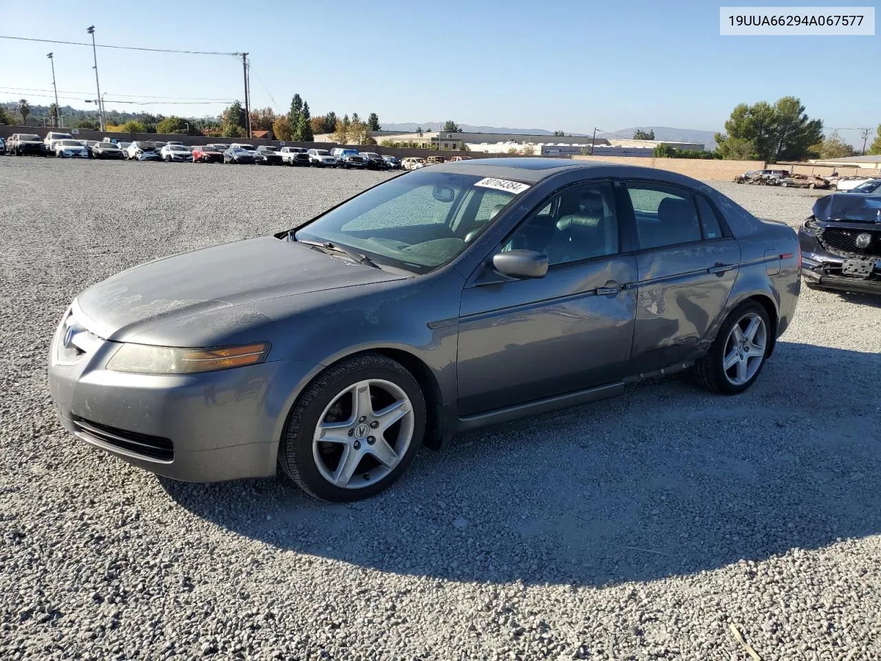 2004 Acura Tl VIN: 19UUA66294A067577 Lot: 80164384