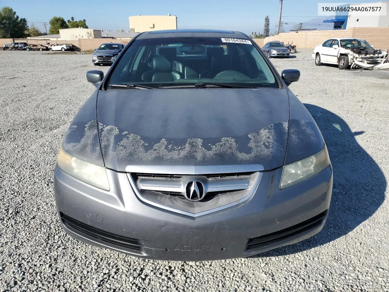 2004 Acura Tl VIN: 19UUA66294A067577 Lot: 80164384