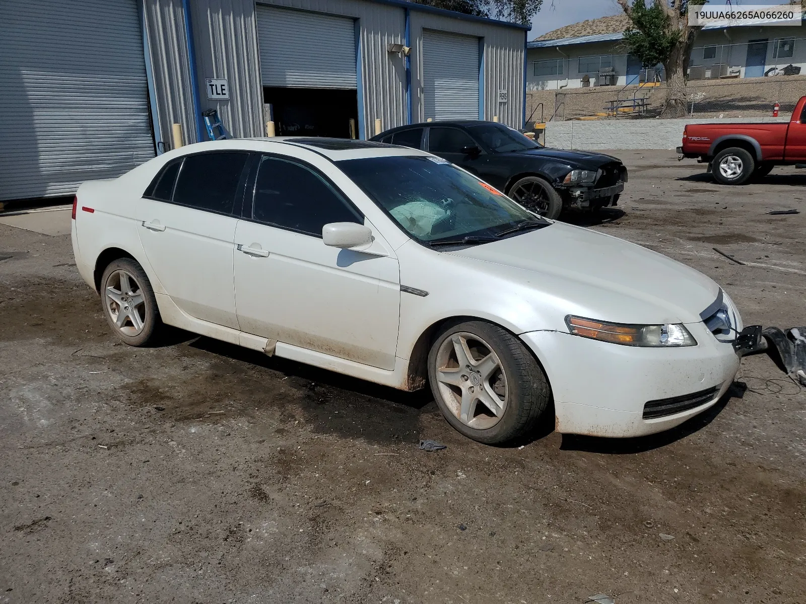 2005 Acura Tl VIN: 19UUA66265A066260 Lot: 59139324