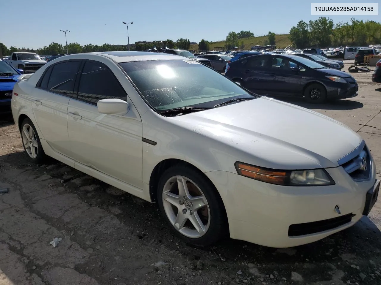 2005 Acura Tl VIN: 19UUA66285A014158 Lot: 59795784