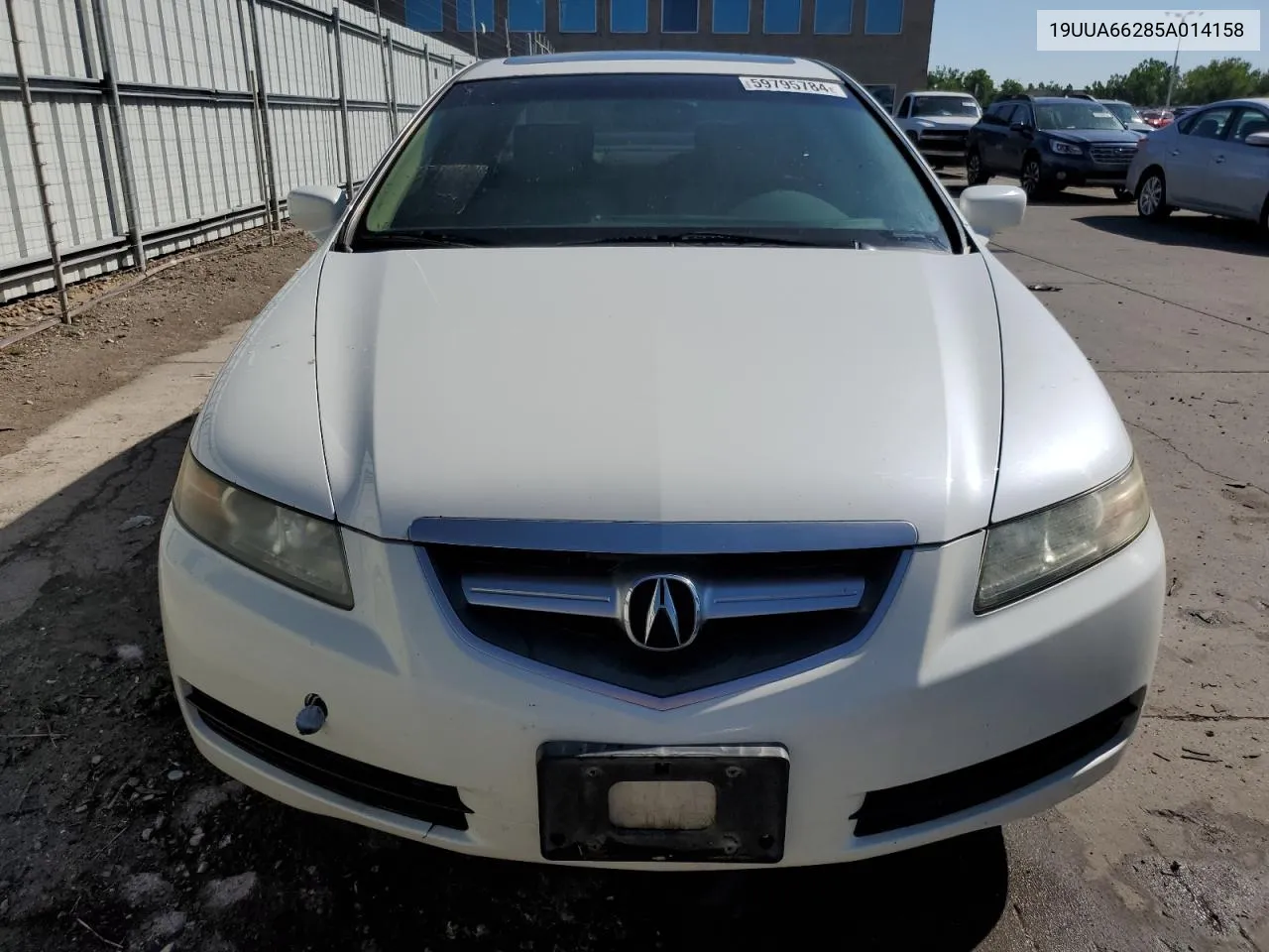 2005 Acura Tl VIN: 19UUA66285A014158 Lot: 59795784