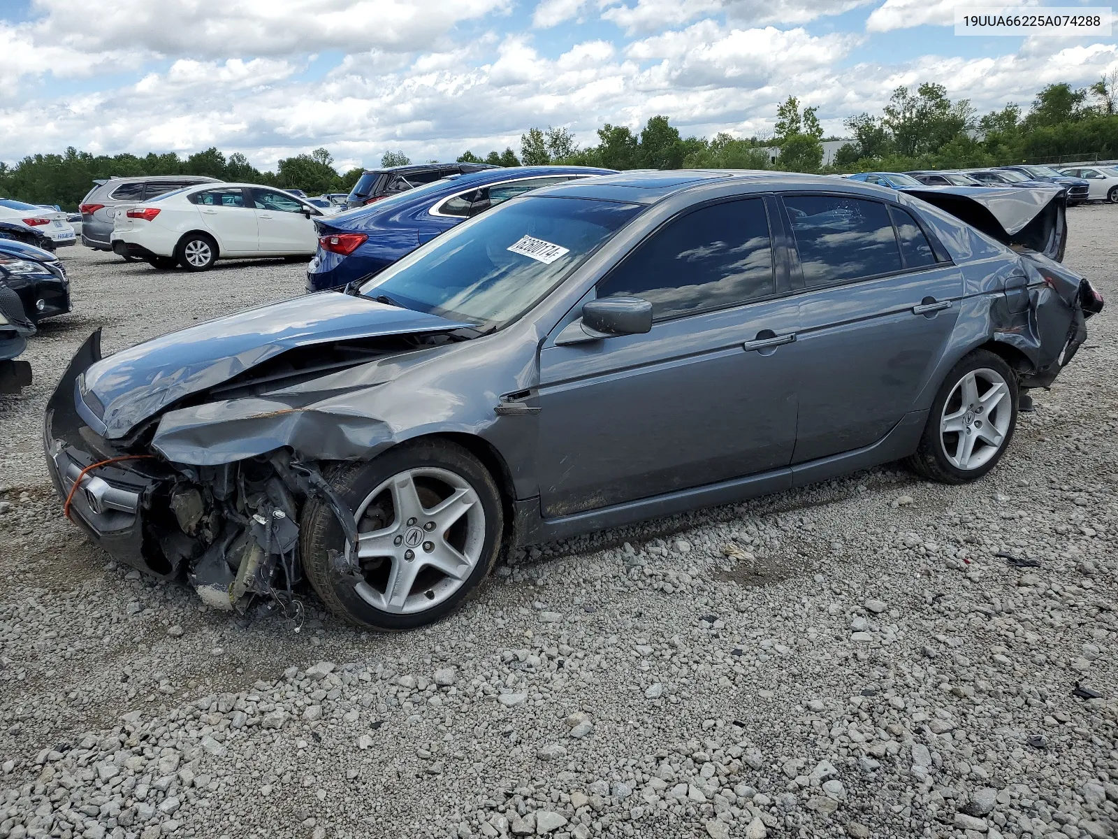 2005 Acura Tl VIN: 19UUA66225A074288 Lot: 62600174