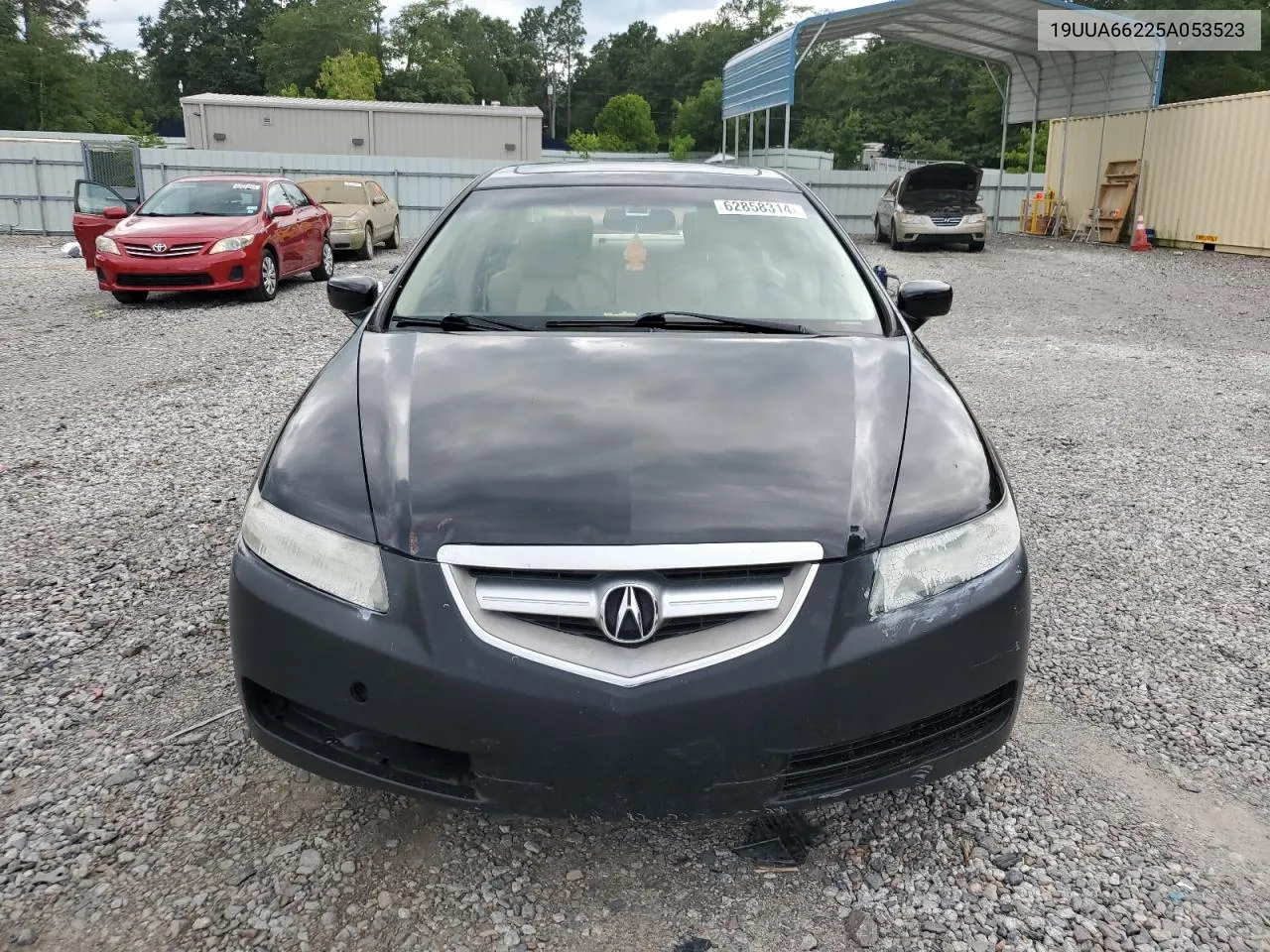 2005 Acura Tl VIN: 19UUA66225A053523 Lot: 62858314