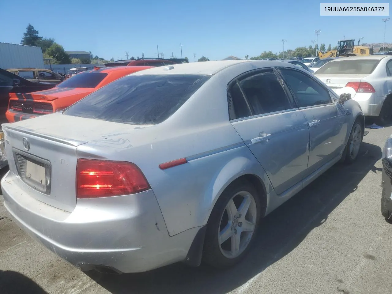 2005 Acura Tl VIN: 19UUA66255A046372 Lot: 65085004