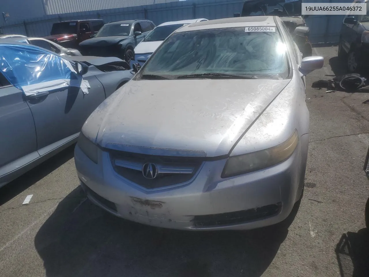 2005 Acura Tl VIN: 19UUA66255A046372 Lot: 65085004