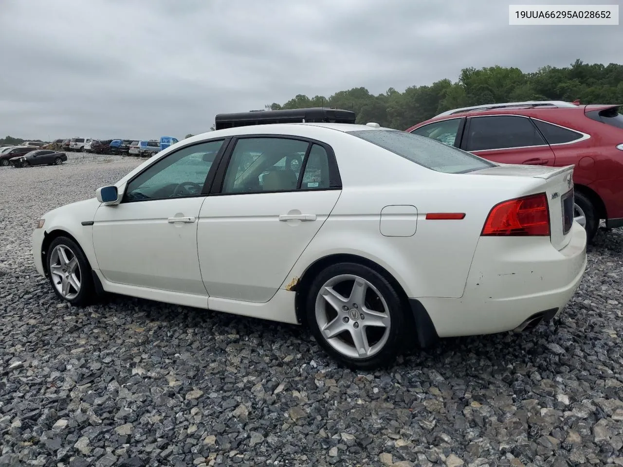 2005 Acura Tl VIN: 19UUA66295A028652 Lot: 67210294