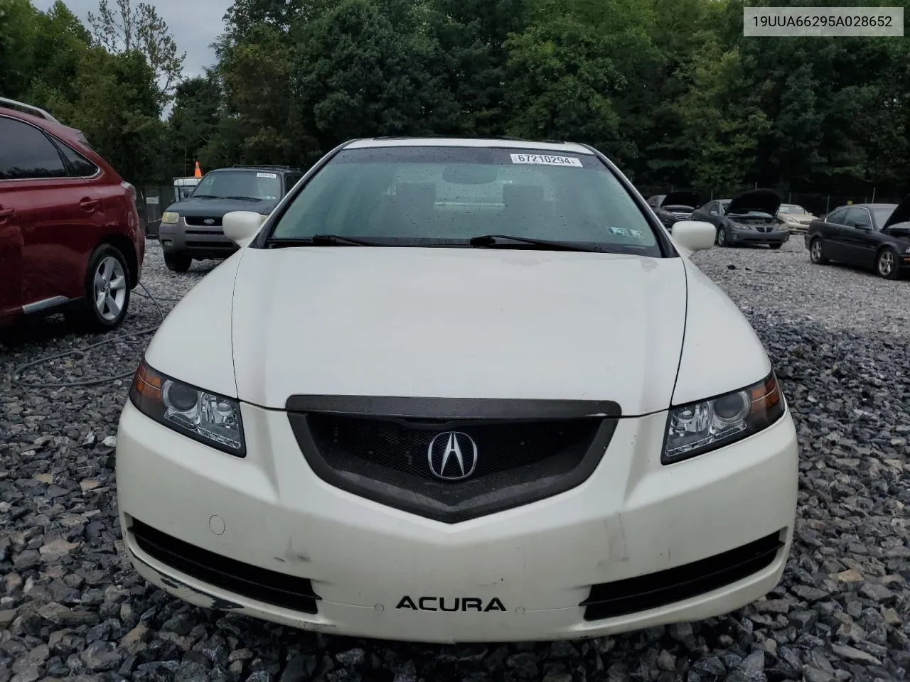 2005 Acura Tl VIN: 19UUA66295A028652 Lot: 67210294